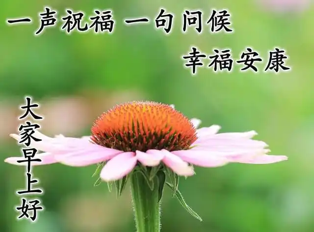 清晨祝福朋友早安暖心图片祝你平安顺序健康如意