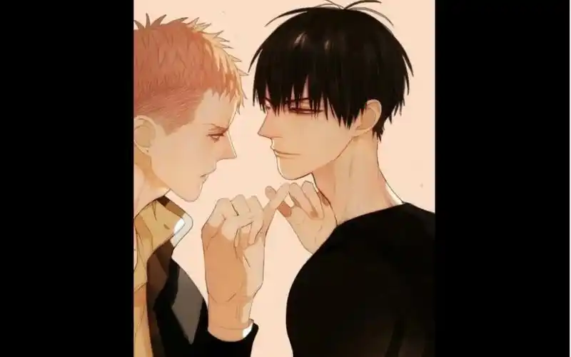 【19天】  鹤顶红 炸贱 我磕的cp是真的