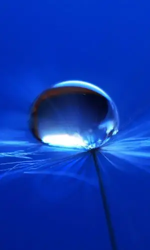 480_800竖版 竖屏