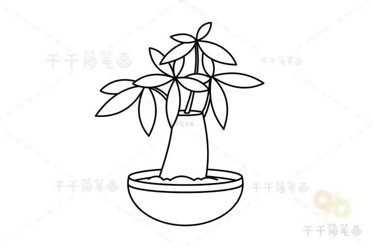 发财树简笔画如何画