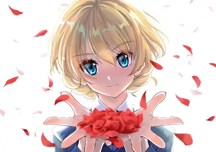 【少女与战车】大吉岭p站美图⑴