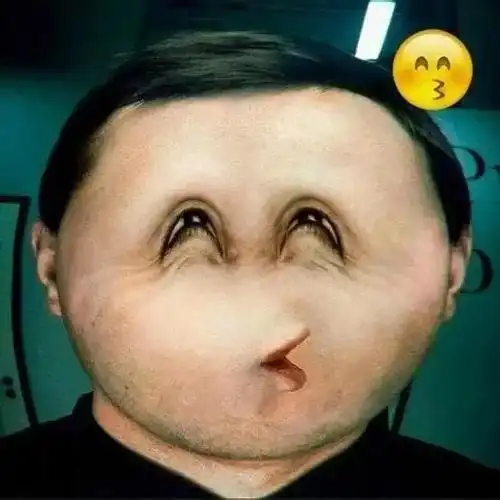 转 网络表情变人脸.