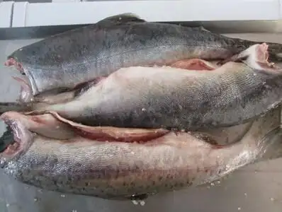 延边特产朝鲜族新鲜松鱼海鲜海鱼冻鲜松鱼海水鱼500克