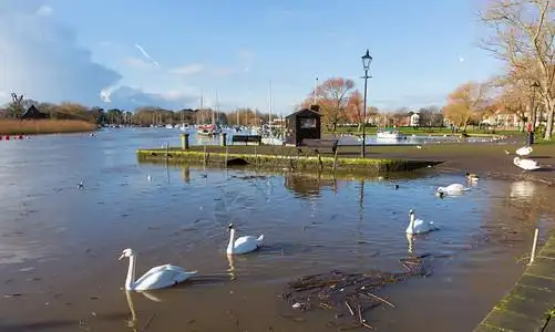 英国圣克赖斯特彻奇多塞特河蓝天鹅在英国仍然平静图片素材