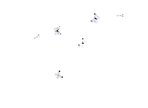 精典免抠gif动态蝴蝶素材图春山抠删整理春山春山博客