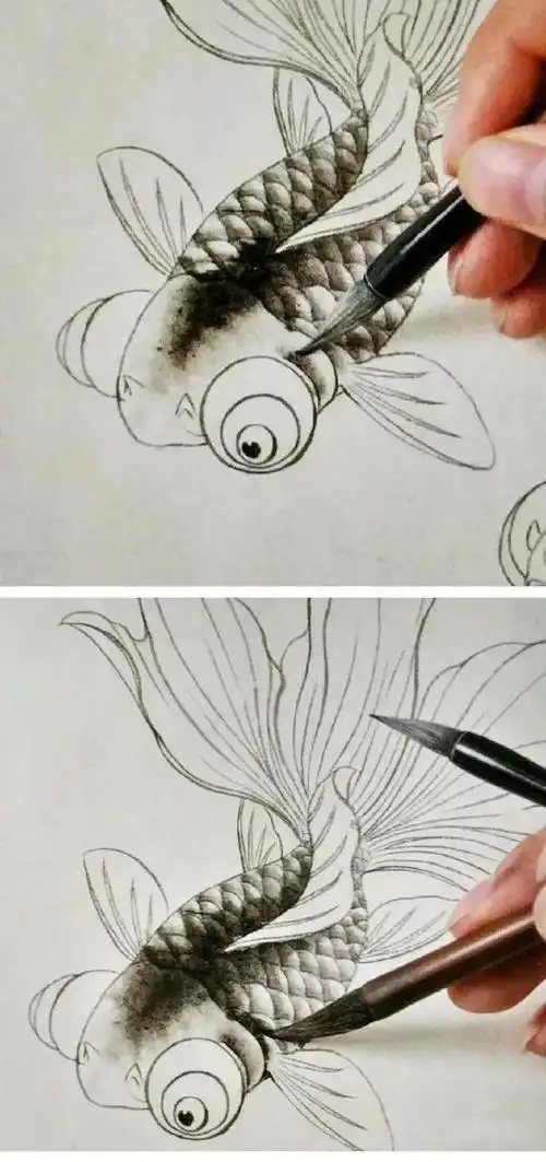 工笔金鱼作品的创作及分染图文步骤