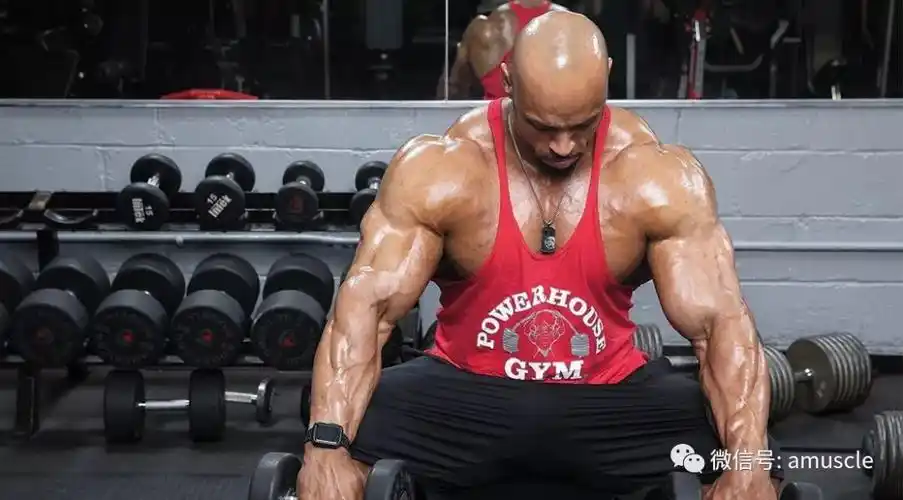 练手臂不是单纯举重哪些训练绝招必须懂