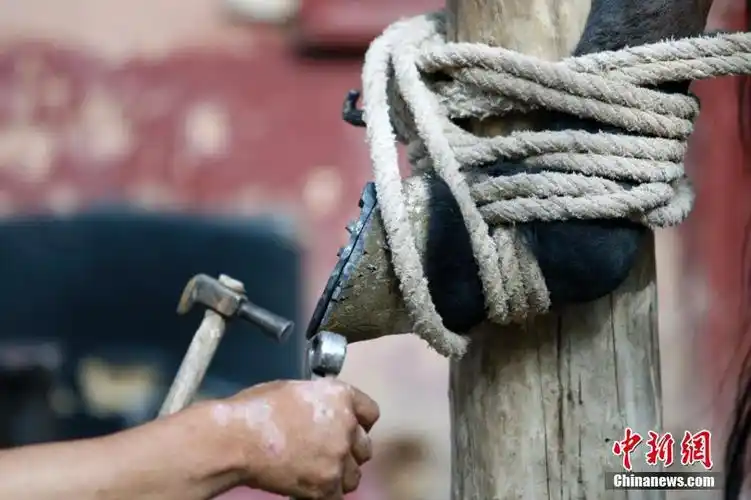 新疆喀什匠人传承千年技艺:钉马掌