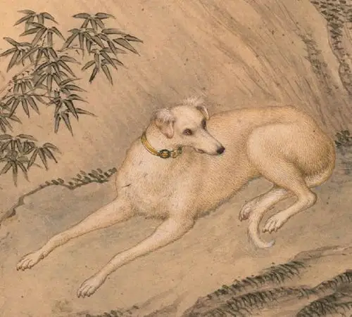 历史上的今天郎世宁画十大骏犬十张