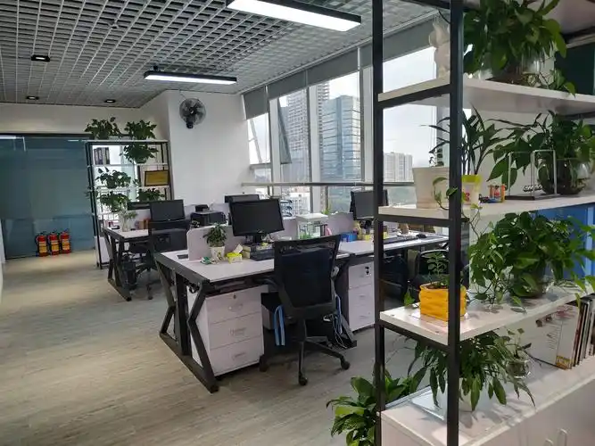 公司办公区