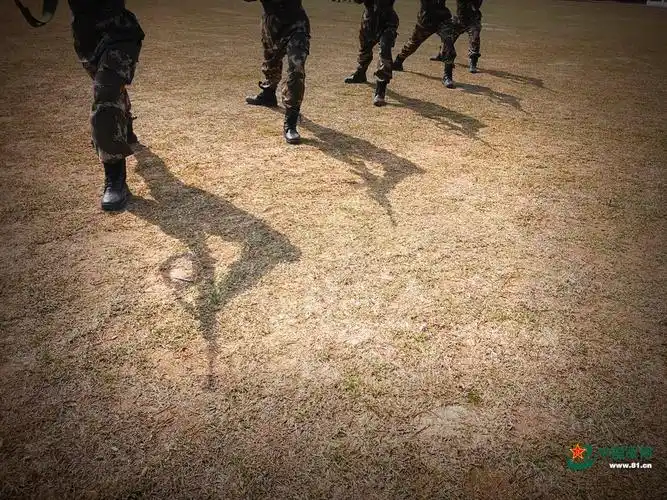 通过看影子,猜猜官兵在干啥! - 中国军网