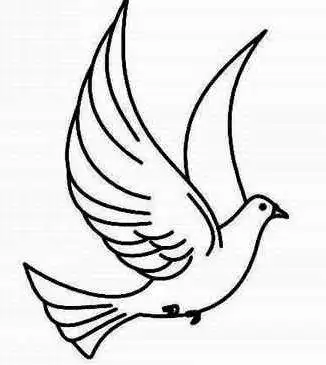 儿童绘画图集焦点图片新闻和平鸽简笔画象征意义简笔画q版鸽子的画法