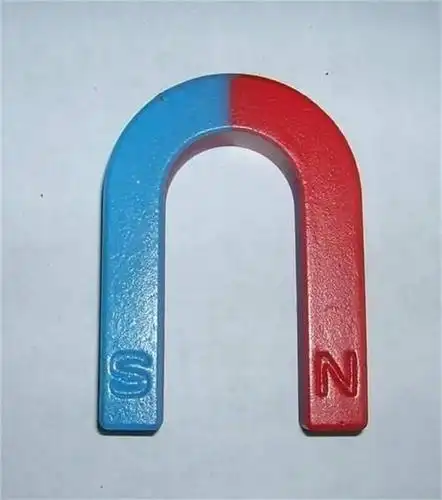 引导学生认识磁铁有各种形状. 师:看看我今天给大家带来哪些磁铁(逐个