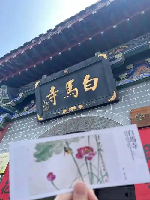 河南攻略丨游洛阳看牡丹玩开封体验穿越千年之旅