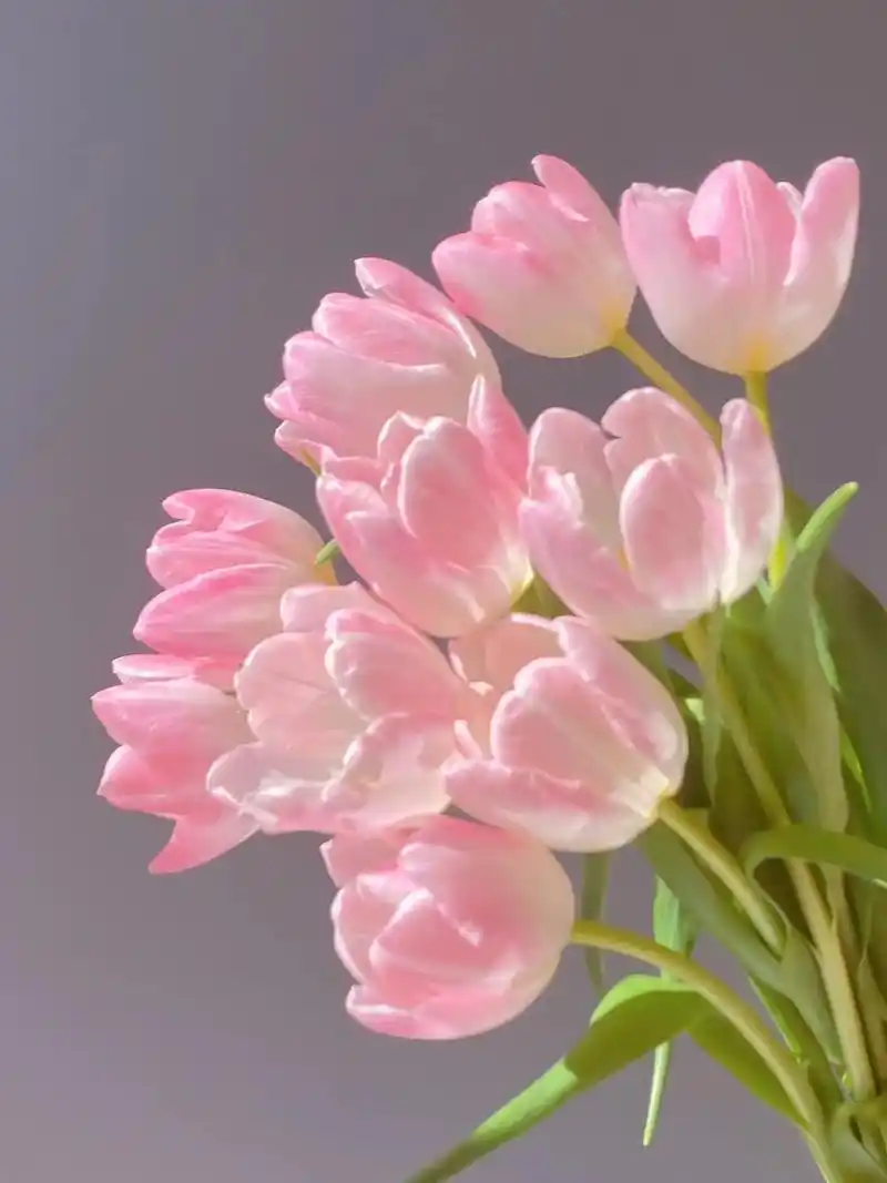 原创唯美鲜花壁纸图片分享.#创作灵感 #唯美鲜花壁纸 #壁纸 - 抖音