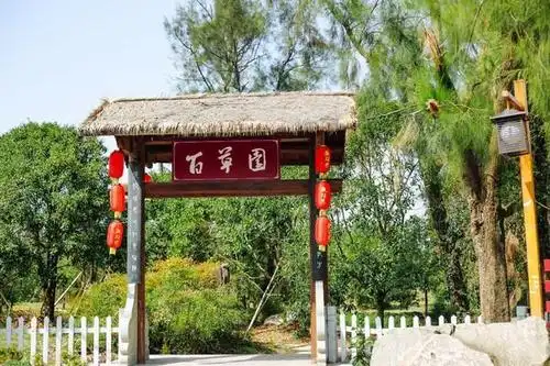 这里的农耕文化展示区,不仅可以看到许多的农作物,还可以走进农家