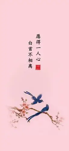 愿得一人心,白首不相离.