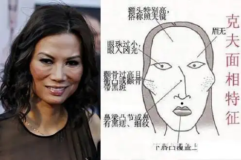 会克夫的六中女人面相