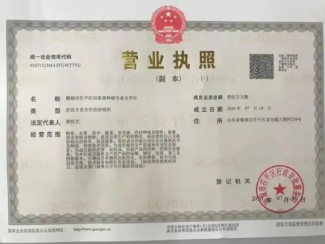 "林下经济"飞跃发展 获得大球盖菇种植专业合作社营业执照