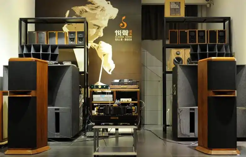 已售出美国西湖westlakeaudiotower12音箱