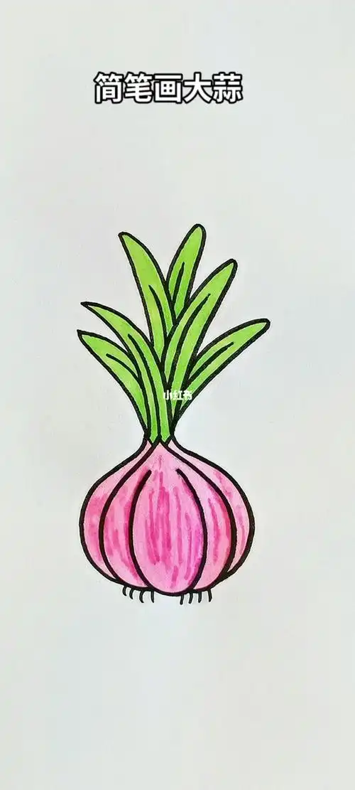简笔画大蒜简笔画简笔画教程