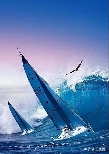 为梦想扬帆起航