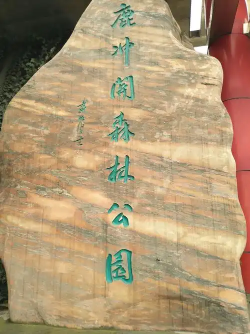 鹿冲关森林公园