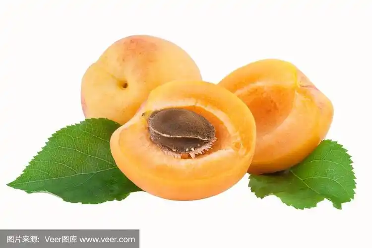 杏仁水果切一半的水果核