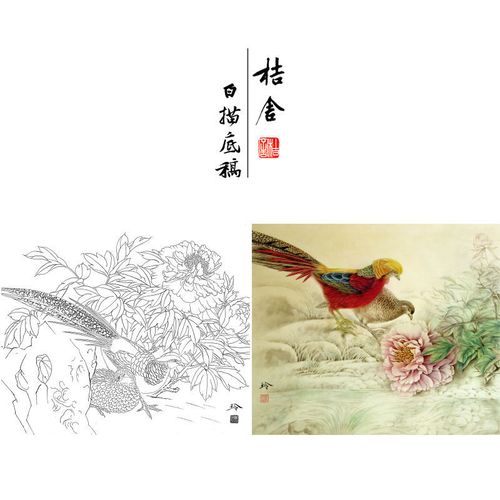 郑玲玲工笔白描底稿牡丹锦鸡带步骤图用色说明初学者临摹画稿zl58