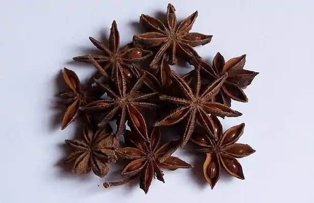 大茴香的功效与作用