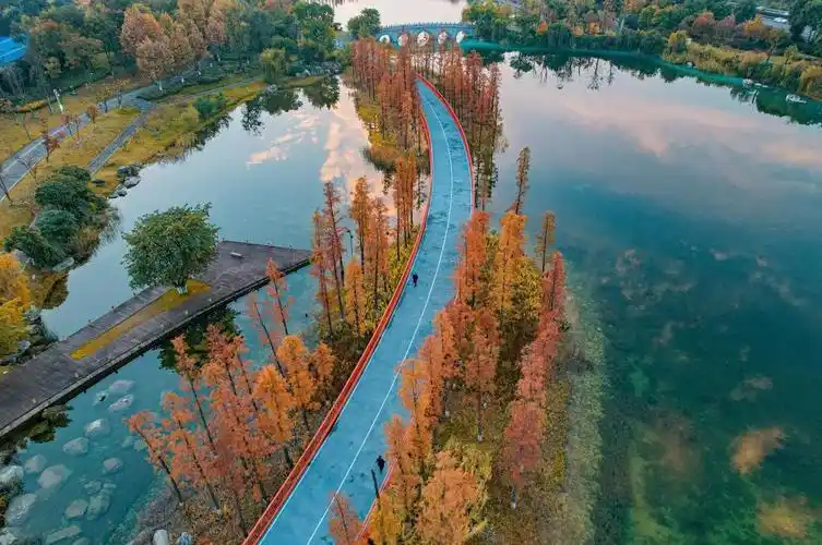 世乒赛之后,成都又多了一个新标签|世乒赛_新浪财经_新浪网