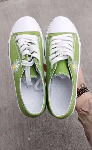 【权志龙同款】小雏菊百搭帆布鞋 - 大淘客联盟