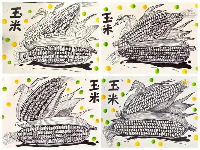 写生线描画玉米