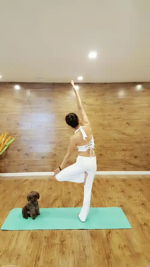 如何在瑜伽站立体式中找到平衡?