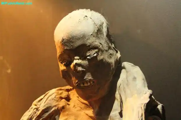 photosofmummies干尸