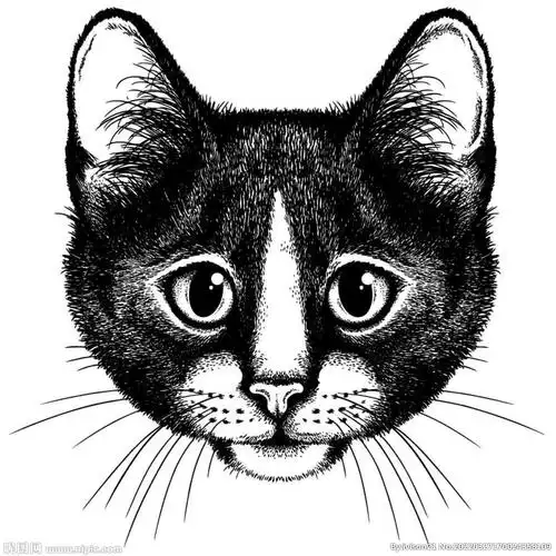 0×0像素格式:ai(cs6)颜色:rgb10共享分×关 键 词:动物速写 黑白动物