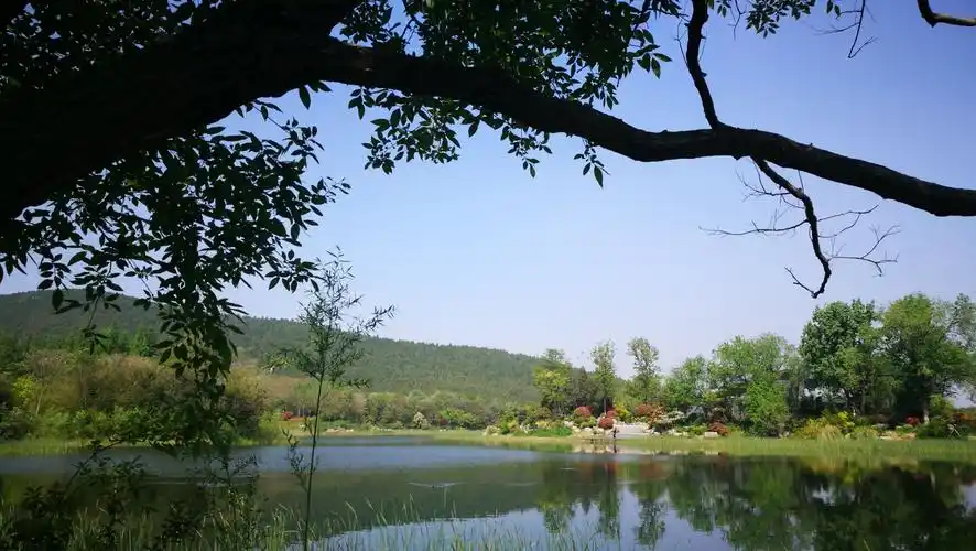 不负春光～徐州泉山森林公园