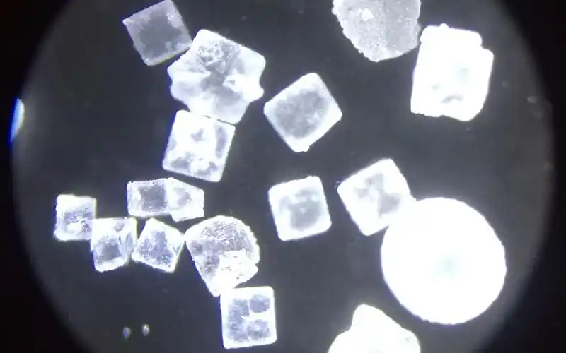 显微镜盐和糖在热水里融化是什么样子的