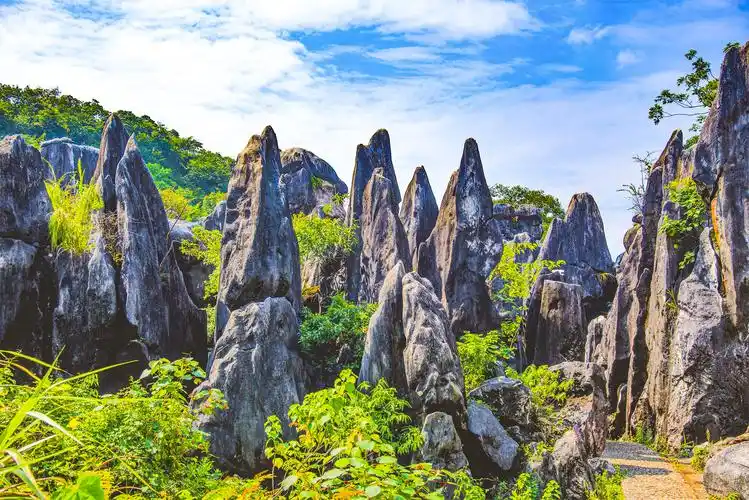 探奇石头纪,观大地盆景园,中国汉白玉地质奇观——贺州玉石林