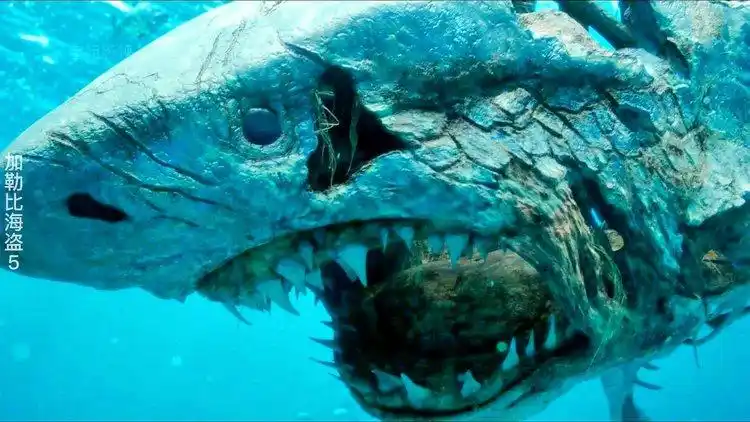 如果电影中的鲨鱼变异有段位