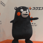 熊本熊表情包 (795179人) 个人私藏表情包,… _ gif[图片专辑]