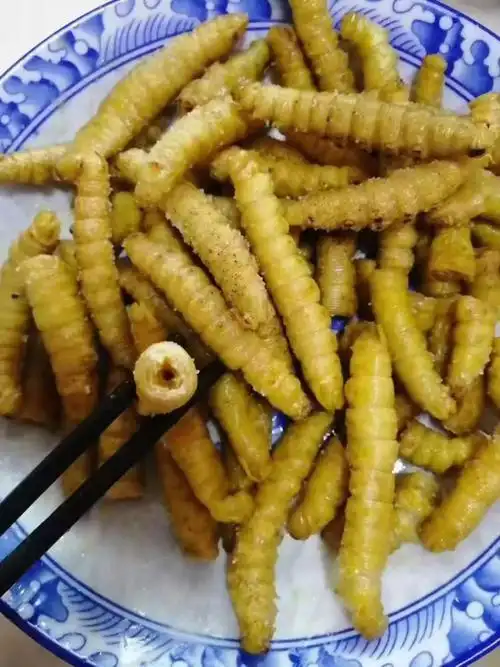 橙伯乐豆虫山东豆虫豆丹豆虫活体豆虫即食炸豆虫活豆虫豆青虫三斤保温