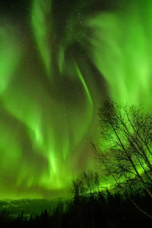 邂逅迷人的北极光