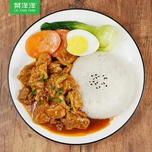 10包料理包速冻速食快餐外卖简餐半成品菜 菜洋洋油豆腐烧肉200g