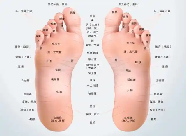 零下20不冻脚这款自发热鞋垫堪比脚底电热毯深冬暖脚丫必备