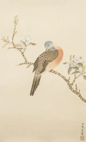 国画斑鸠