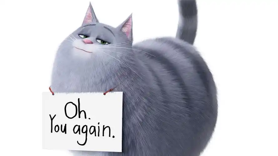 《爱宠大机密2》可爱萌宠高清壁纸