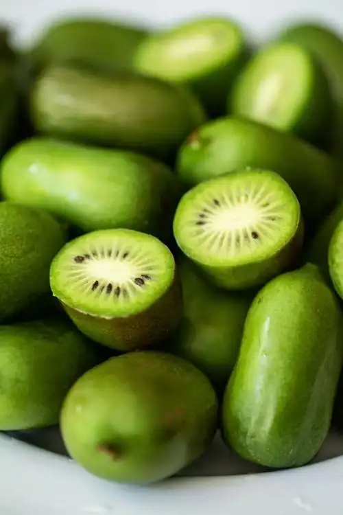 新西兰网红水果kiwiberry到底是什么东西