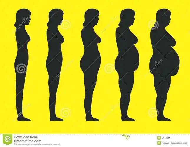 肥胖的逐渐变化