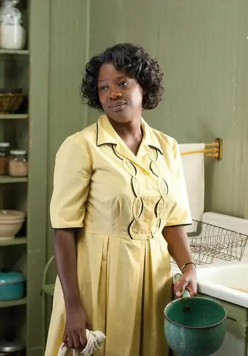 相助the help的剧照